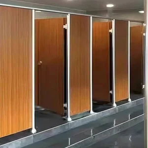 compact-partition-for-toilet-with-wall-mount-options
